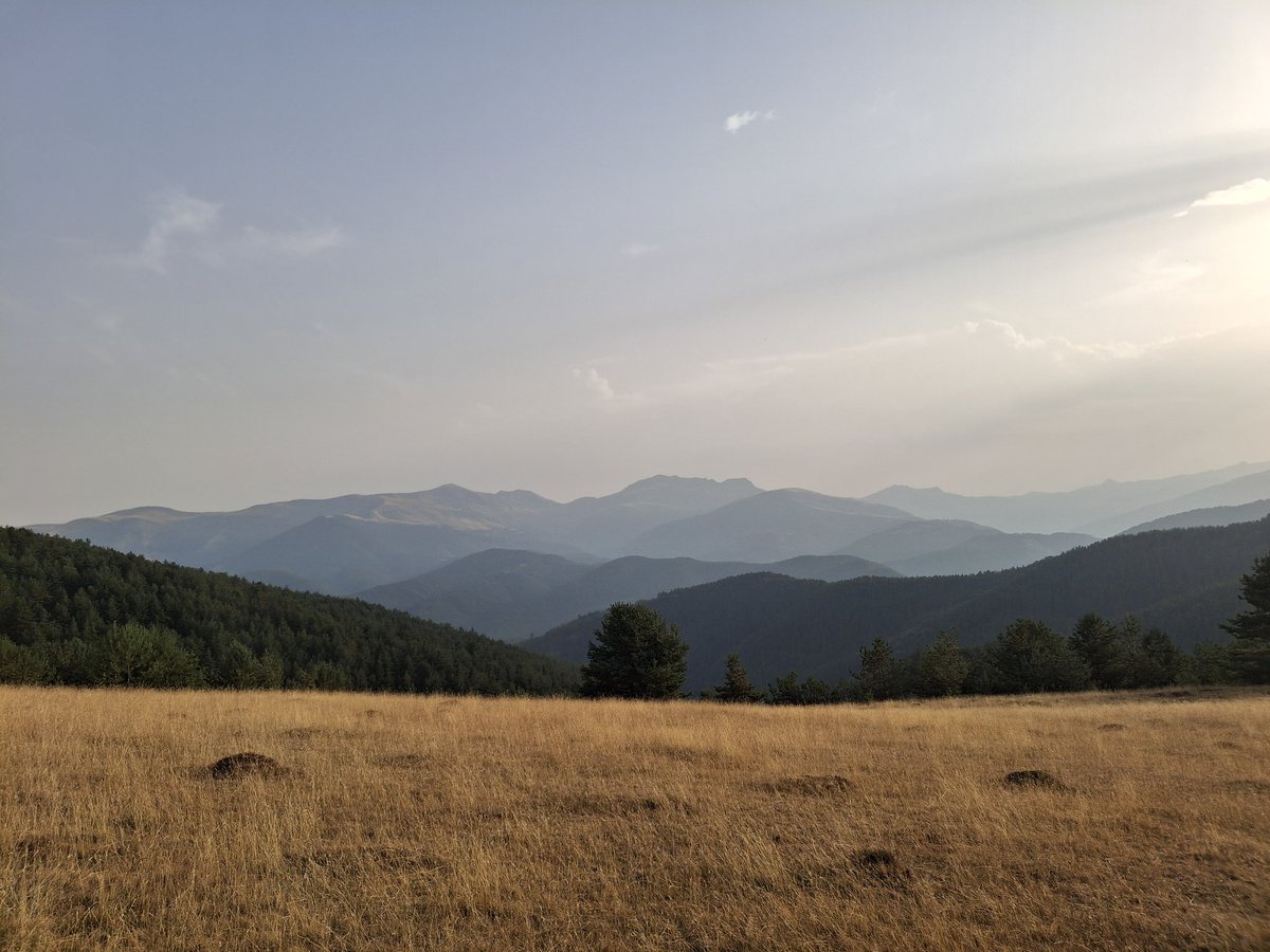 lakukula's tweet photo. Pirineo navarro. Algún día de verano. https://t.co/QLVdQUCIsW
