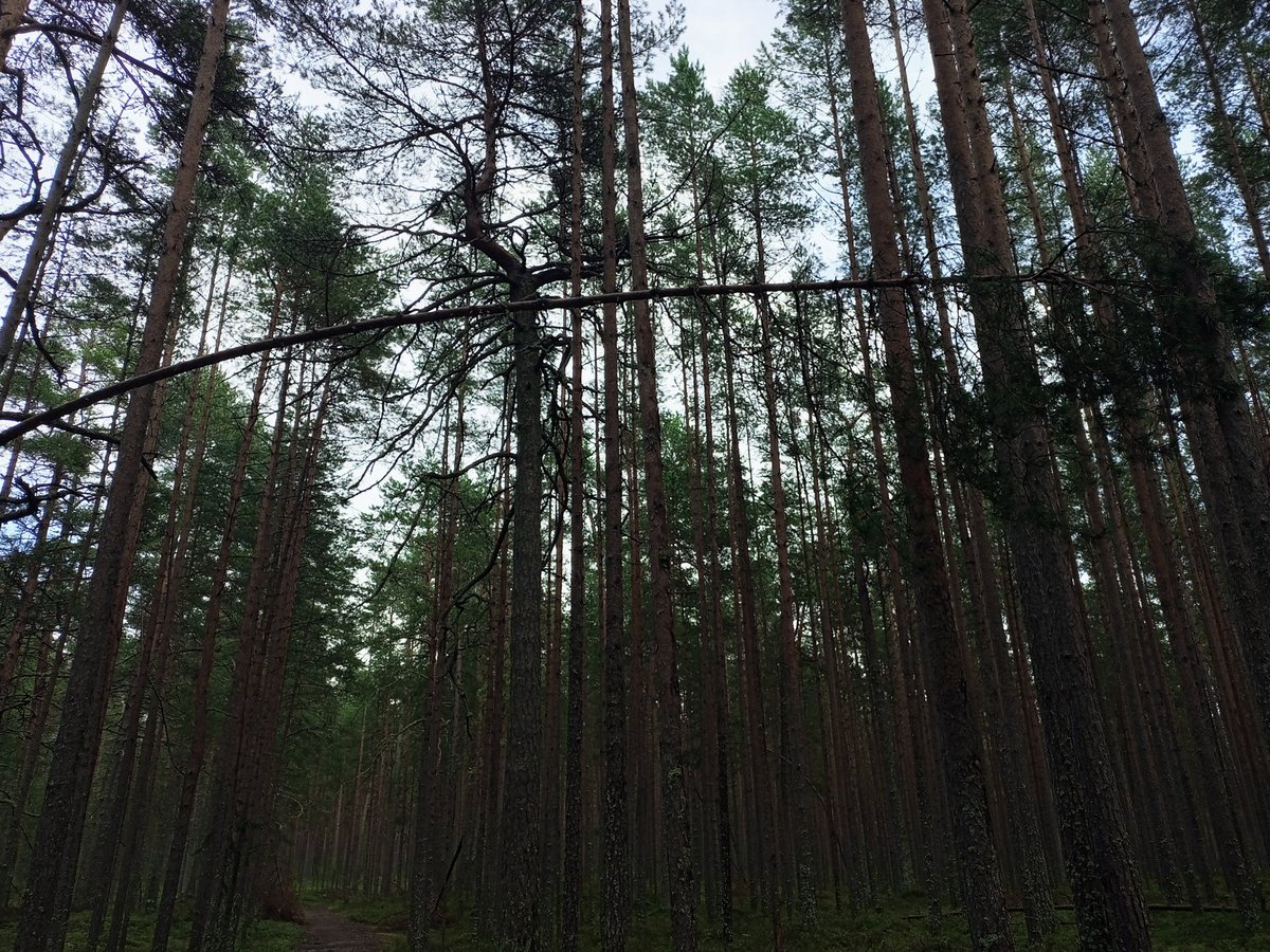 alldeinewunden's tweet photo. https://t.co/JHfuSEDgHq