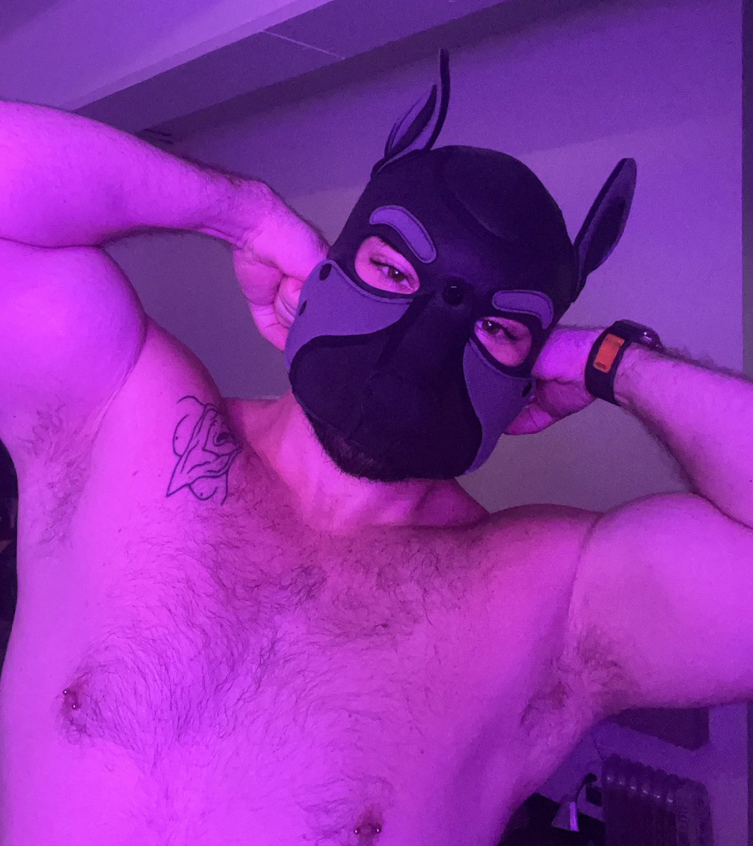 Pup Boulder tweet media