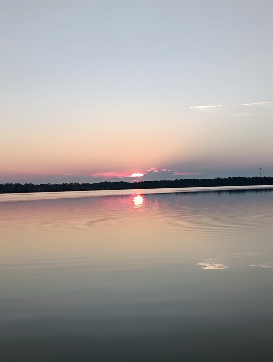 Amanda W. tweet media