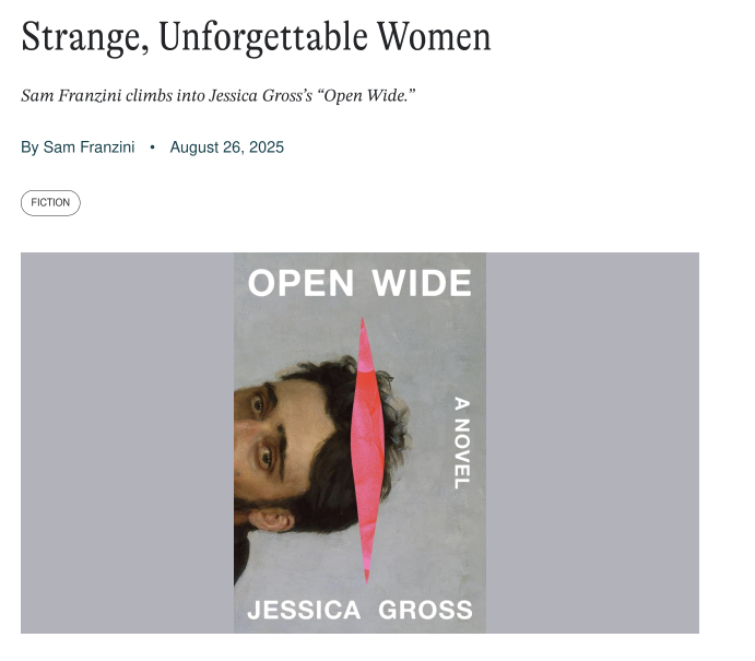 samfz7's tweet photo. For @LAReviewofBooks I reviewed @jessicagross' absurd sexy brilliant queasy fantasy of a novel OPEN WIDE 🔪 https://t.co/tIrvXVIdRP