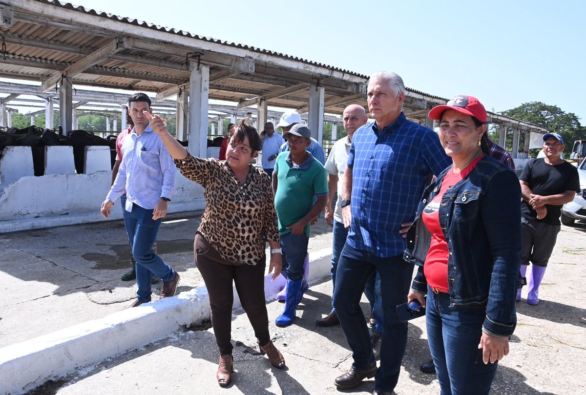🗣️| Como parte del programa de desarrollo ganadero del territorio, Dalia María Mateo Cofiño, directora de la Empresa Agropecuaria del municipio, explicó a <a href="/DiazCanelB/">Miguel Díaz-Canel Bermúdez</a> que en los últimos dos años han logrado frenar el deterioro de la empresa. Hoy cuentan con 650 cabezas de ganado.