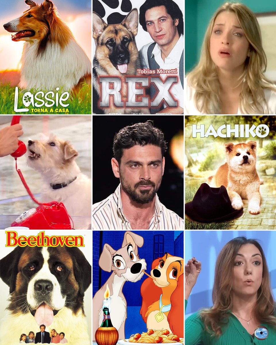 🐶 #giornatamondialedelcane