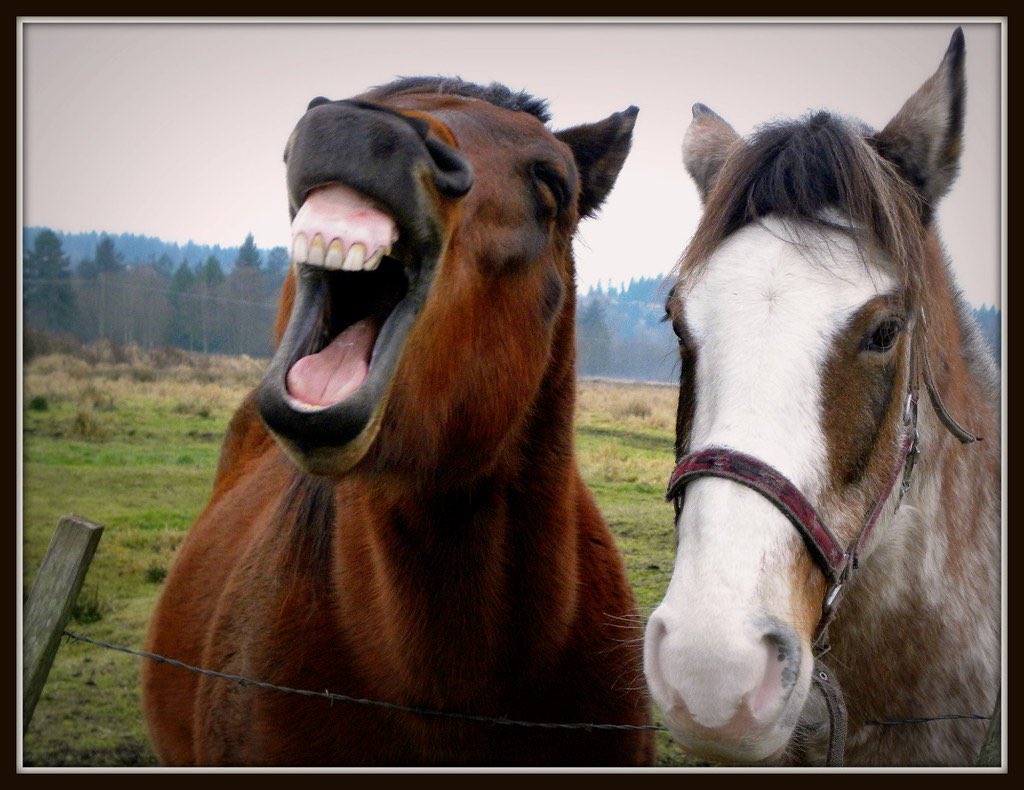 let’s laugh