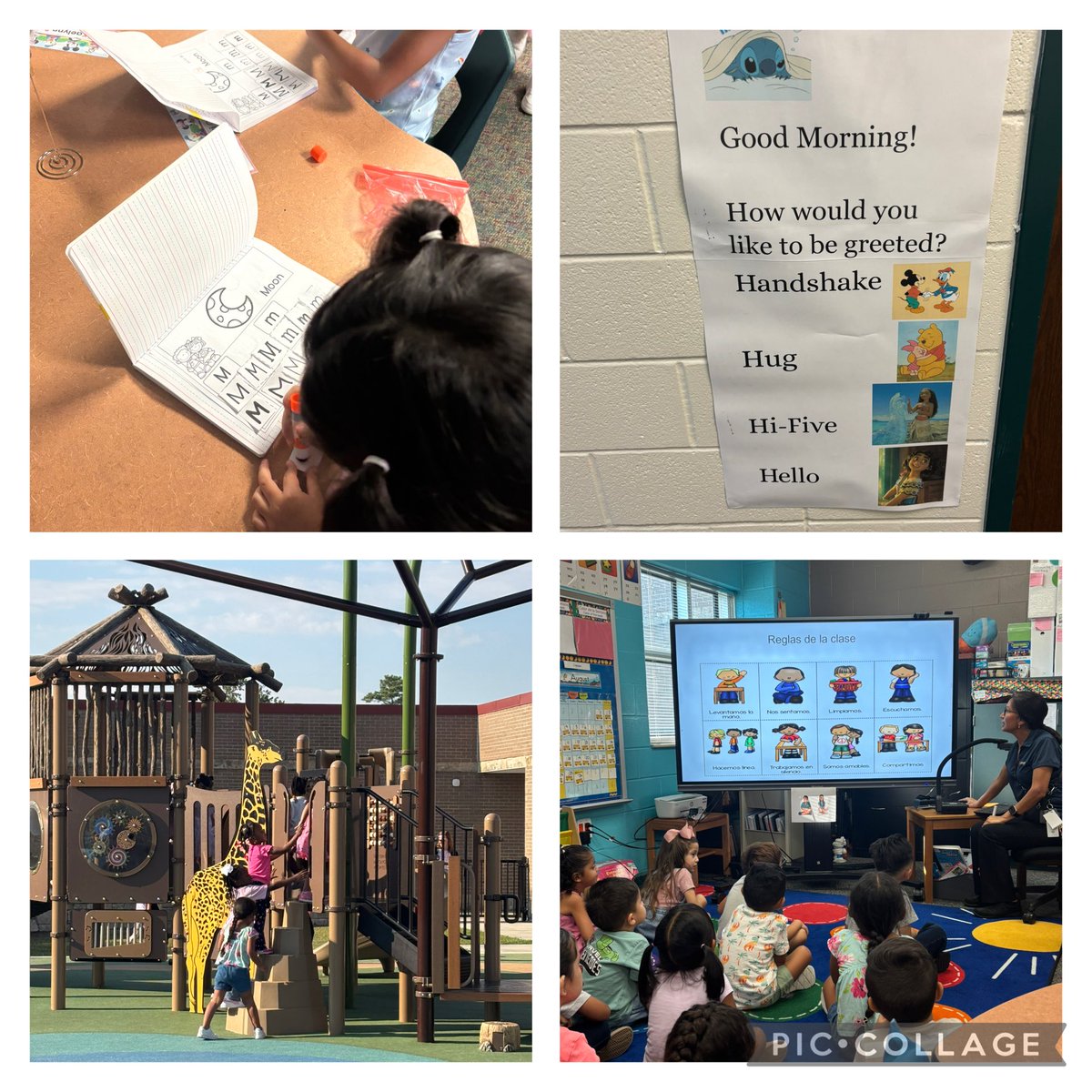 Dr. Lisa Edwards tweet media