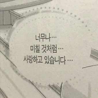 둥둥 tweet media