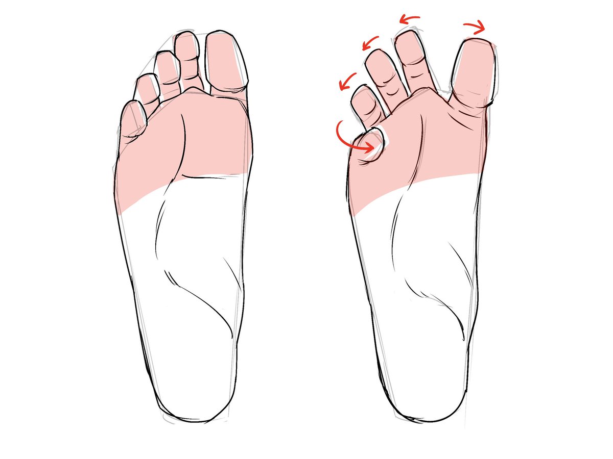 kato_anatomy's tweet image. 足を地面から離して指の間を広げると、小指が足の裏側に曲がります。