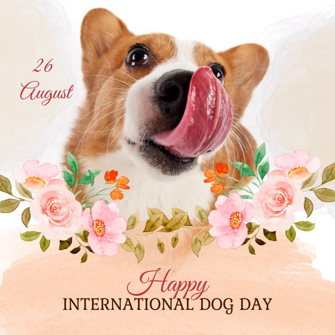 🎉 Happy National Dog Day! 🐶💐
Today only, we’re celebrating all the pups out there with a 20% OFF sale in our Dog Shop! 🎁🐕

Treat your best friend to yummy snacks, durable toys, and cozy gear – because they deserve the very best. 🦴💖

🛒 Shop here ➡️ barkandbeyondsupply.com/discount/DOGDA…