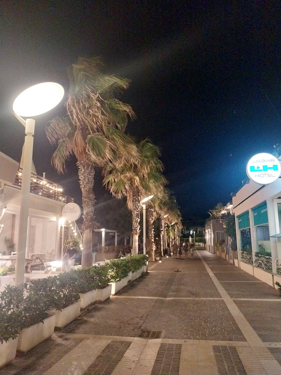 #PrimaOpoi ci sceglieremo 💙