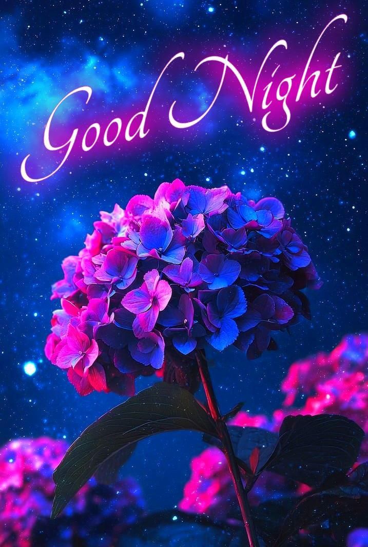 queen4rt's tweet image. GOOD NIGHT 💤🌉 
SWEET DREAMS 😴