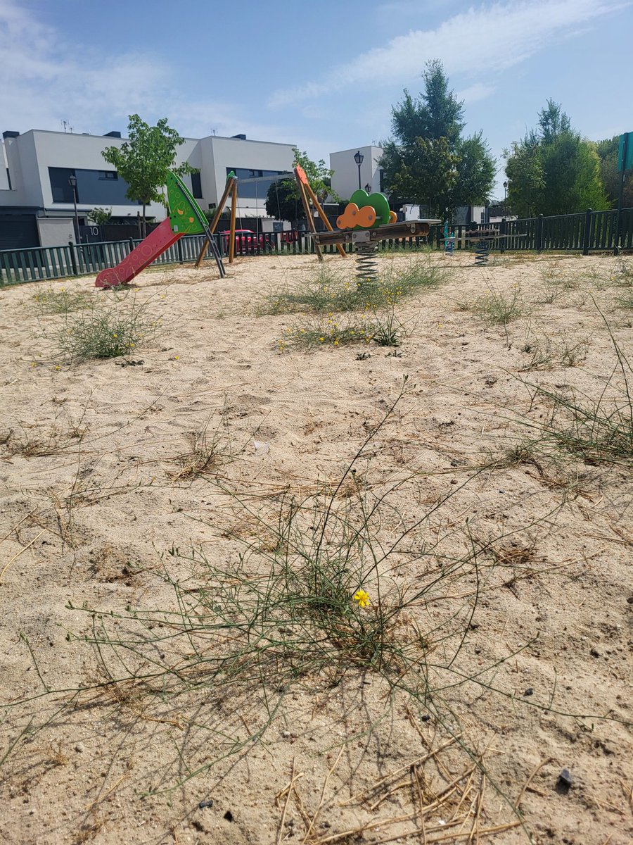 aliparan's tweet photo. @ayto_torre @PP_Torrelodones @voxtorre no se si ustedes son conocedores del estado en que se encuentra el parque INFANTIL ubicado en Avd Pradogrande,10
De nada!! https://t.co/6EVvYVfCb1