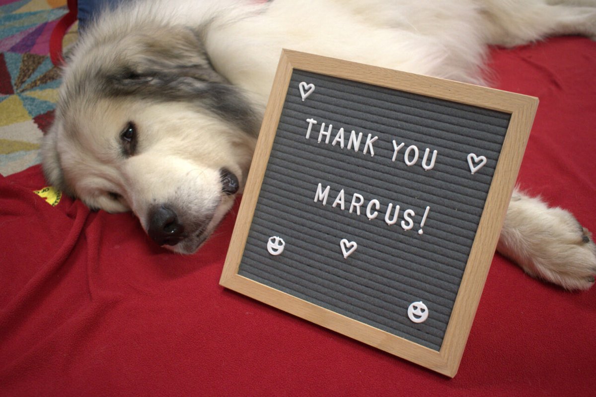 Thank you, Marcus (and Sue) for a lovely summer of Paws to Read! 🐾

Want to join in the fun of exciting programs like these? Visit brantlibrary.ca/flyer to see upcoming fall 2025 programs! 

#Brant #BrantLibrary #BrantCounty