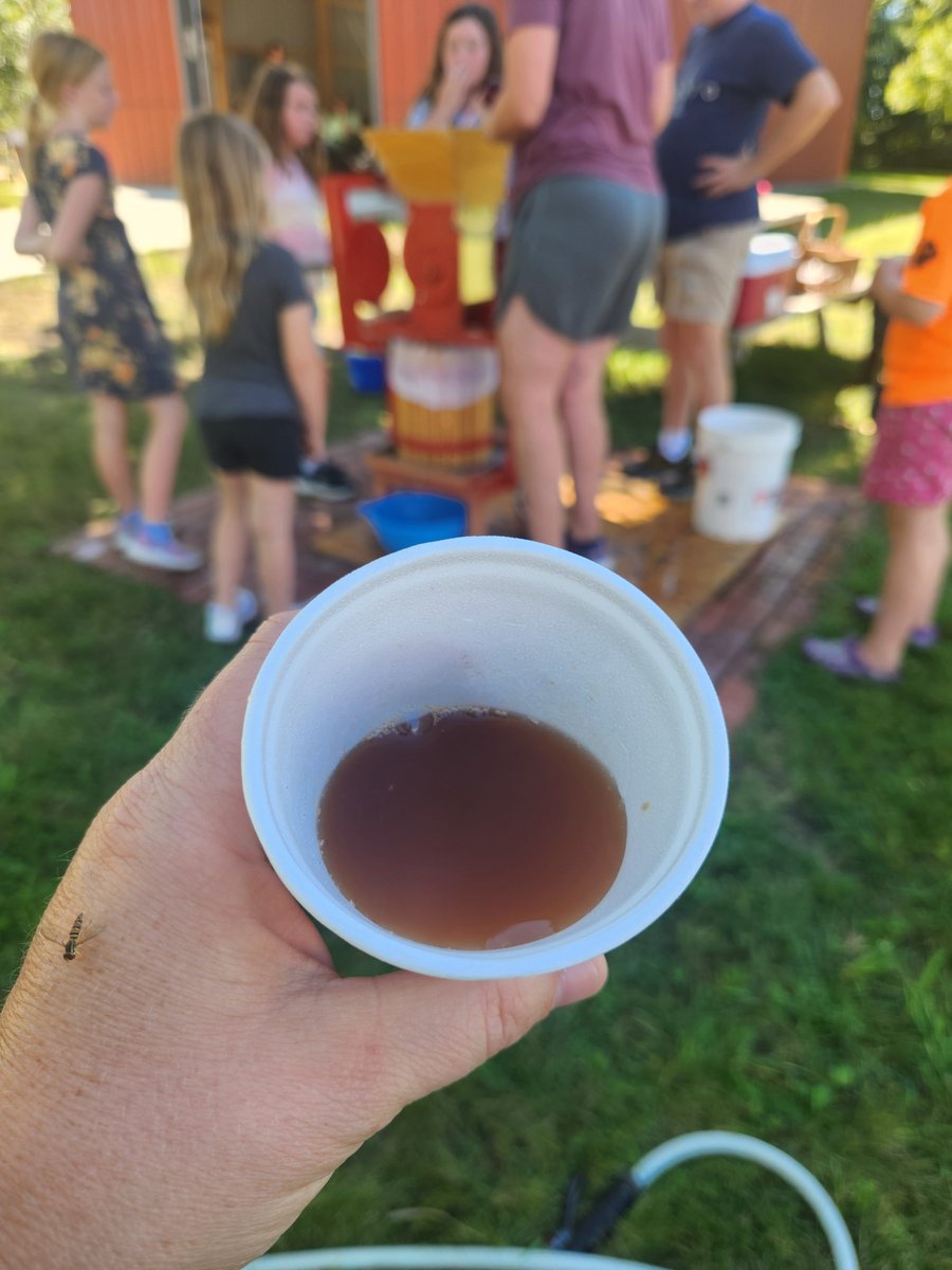 Catt Museum tweet media