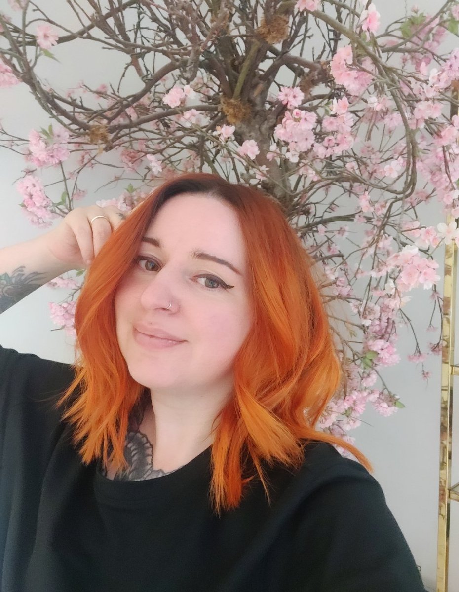 BabyBear tweet media