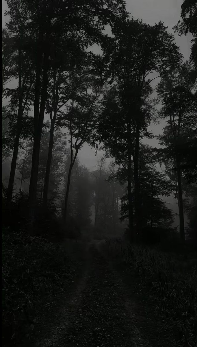 The path........
