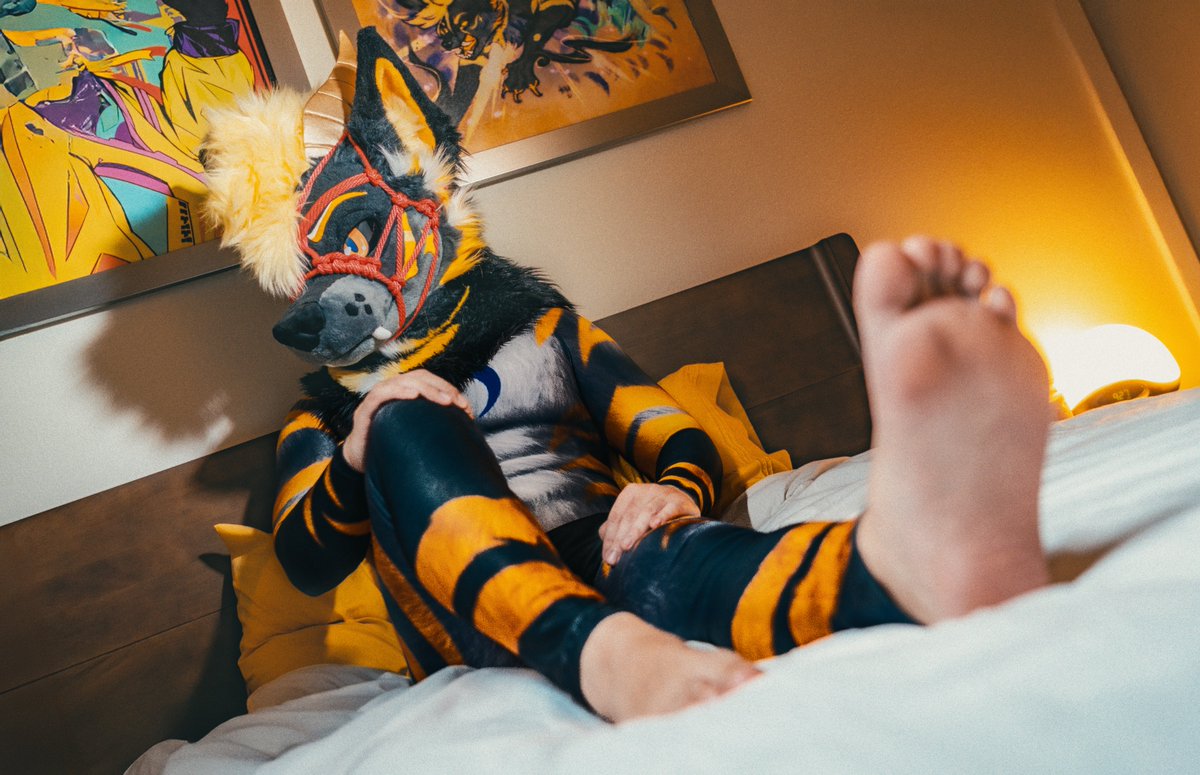 Got a little tied up it seems~

🪢: <a href="/shibari_furry/">放課後部 ｓｈｉｂａｒｉ🪢</a> 
📸: <a href="/ChatahSpots/">Ｍｉｇｏ💢🔜AFC🇺🇲,SK🇰🇷,Infurnity🇹🇼,Kemocon🇯🇵</a> 
🪡: <a href="/forfunbangkok/">FORFUN</a> / <a href="/kigurumikagetsu/">きぐるみ花月/Kigurumi Kagetsu</a>