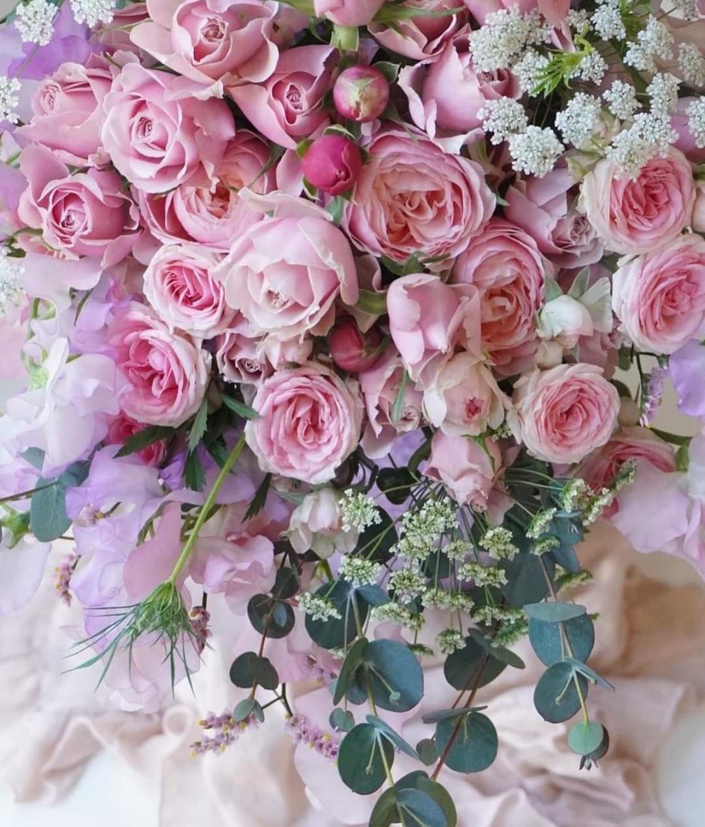 Muy buenas y dulces tardes a todos #feliztarde 🌸🥰 #felizmartes