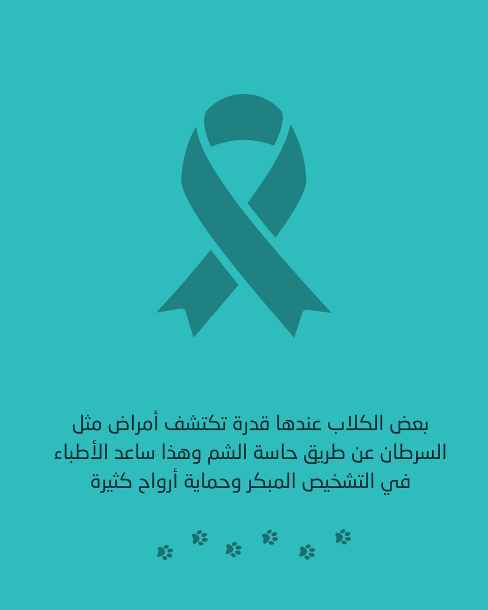 أبــدان tweet media