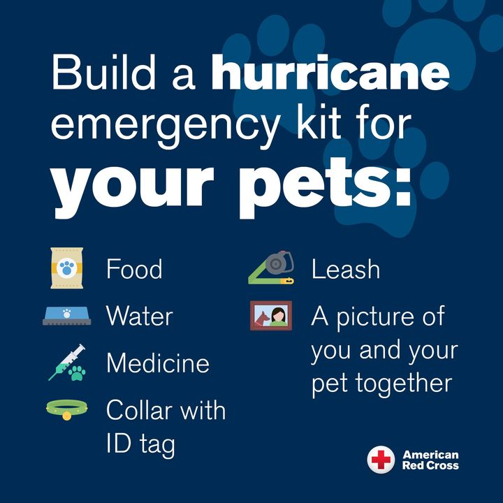 We know you can't resist those puppy dog eyes. They want you to paws scrolling for #NationalDogDay and build them a pet emergency kit for hurricane season. Grab a sturdy container &amp; fill it with essentials in case you need to evacuate. Fetch a list at: RedCross.org/Pets 🐾