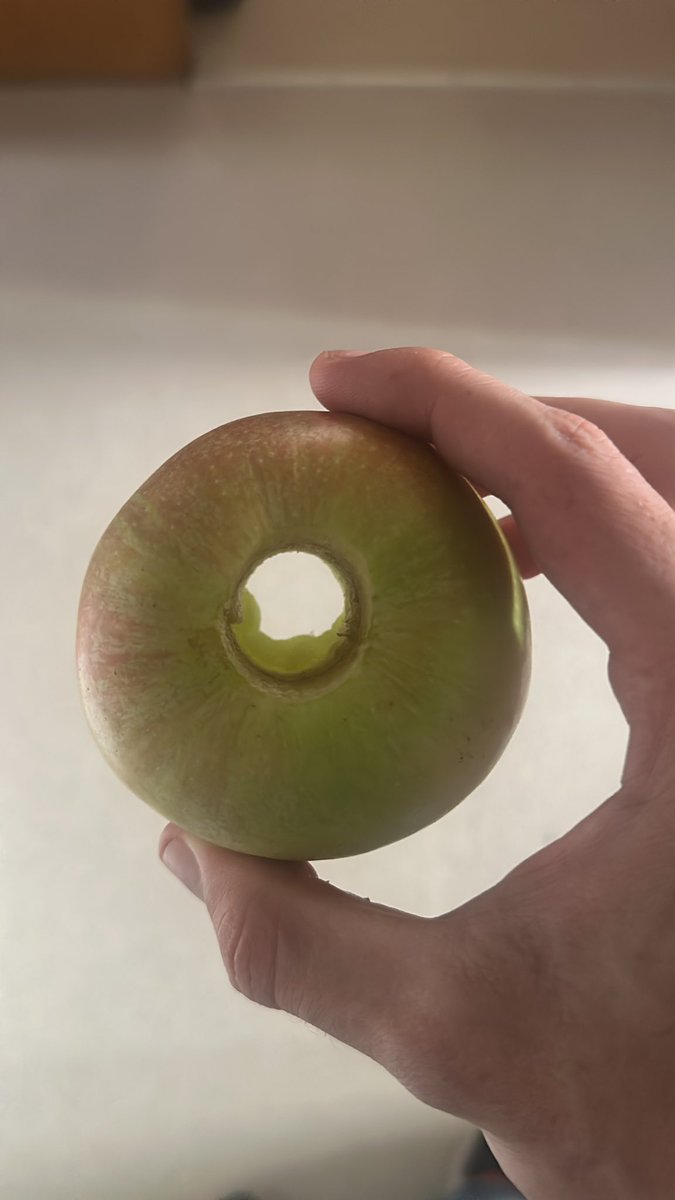 sydney sweeney apfel