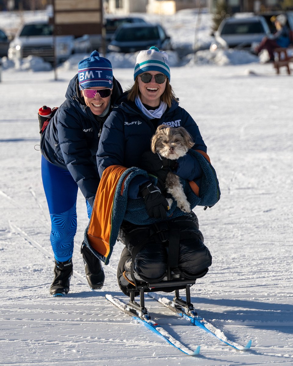 CAFoundation's tweet photo. It's National Dog Day! Here's to all the puppers who help keep CAF athletes active every day!

#TeamCAF #NationalDogDay2025 #DogsofWorld https://t.co/LbWxvDB6l0