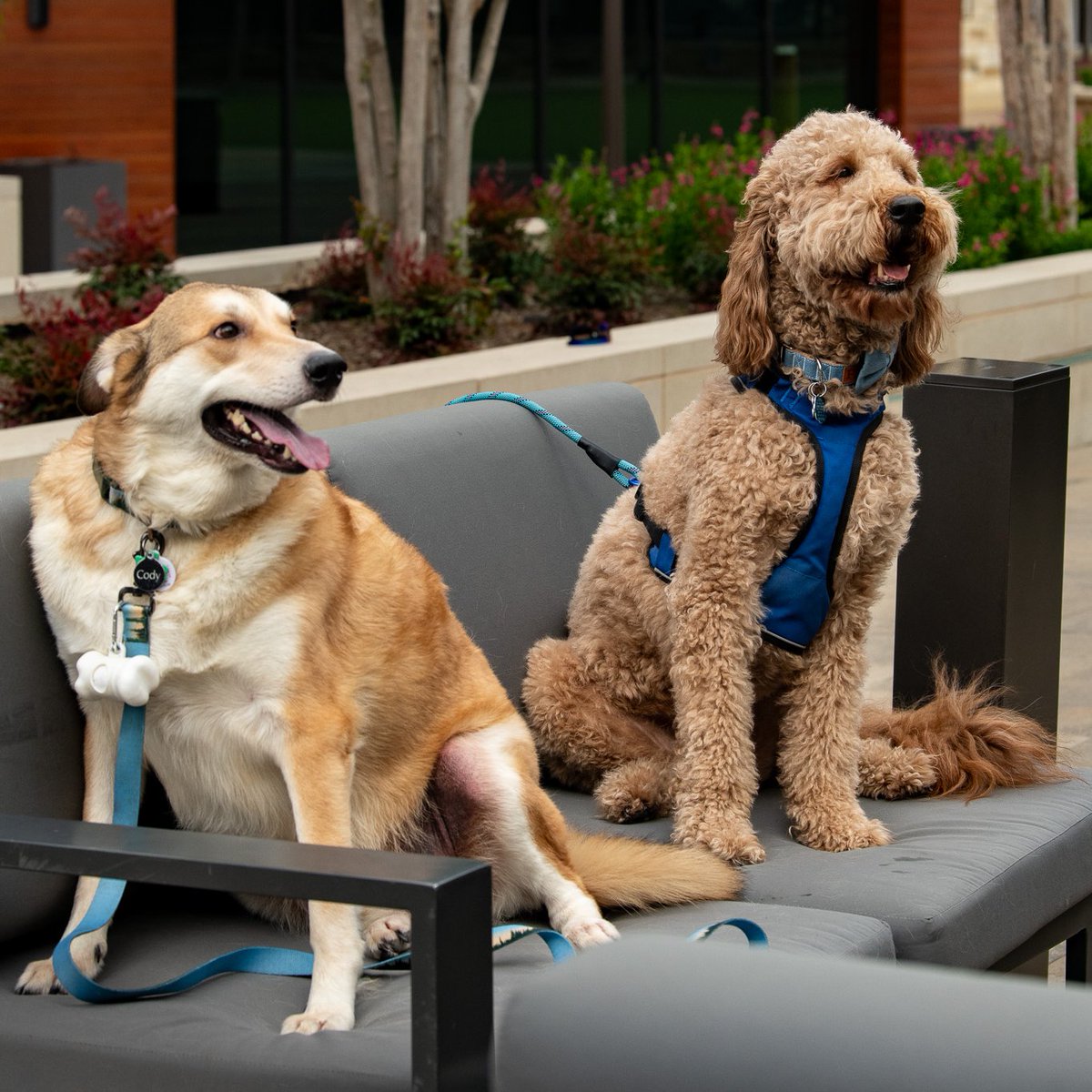 Grandscape Texas tweet media