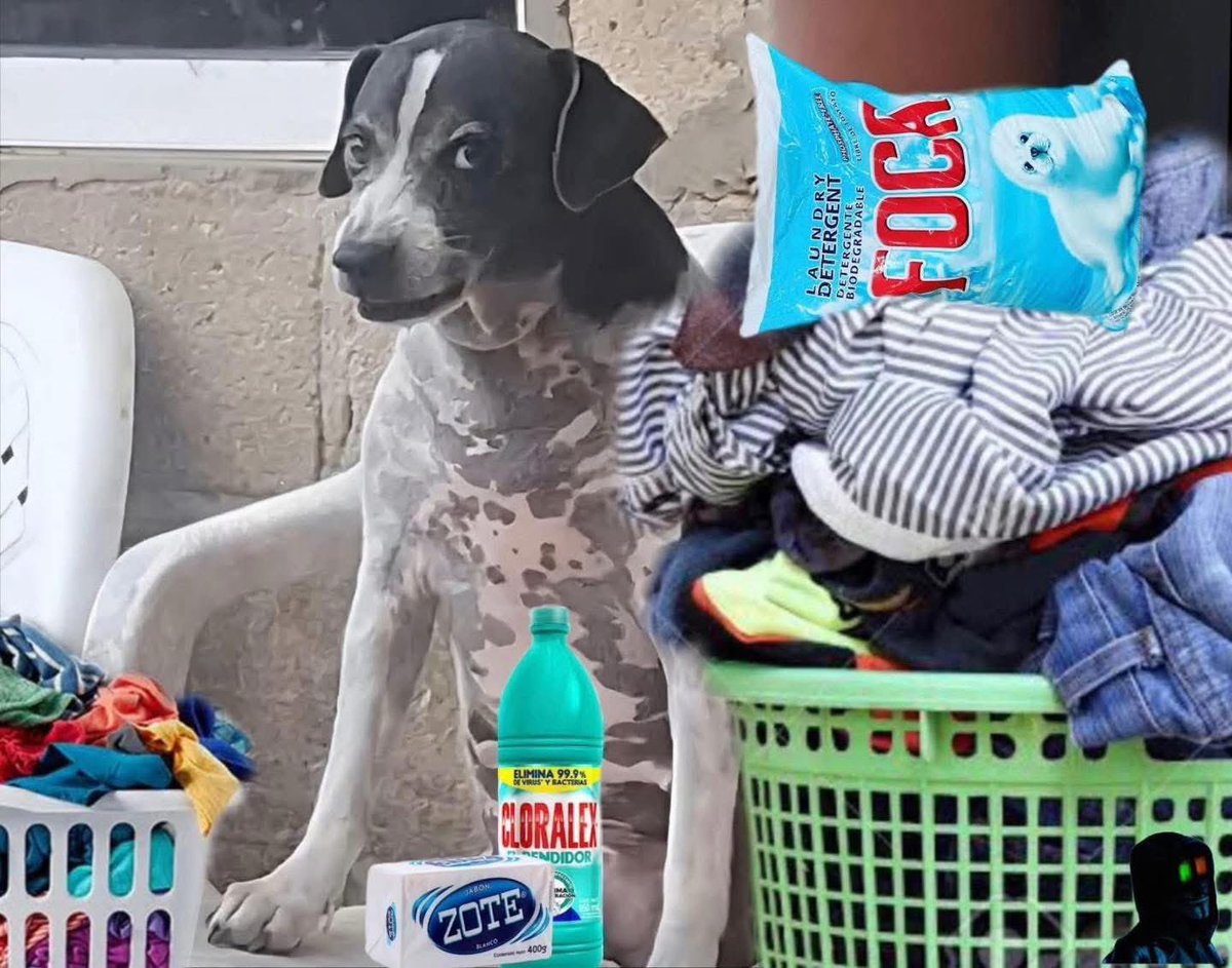 LaPlamta's tweet photo. Tengo un chingoooo de ropa por lavar, no tengo tiempo, ni sé usar la lavadora del depa…ayudaaa https://t.co/LAWXNS0qr4