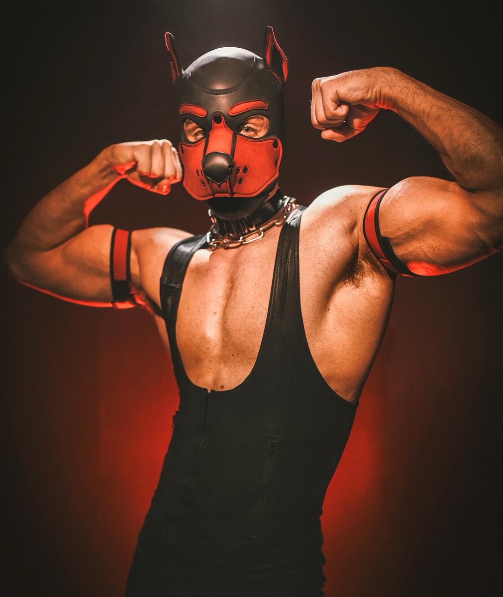 Happy National Dog Day!