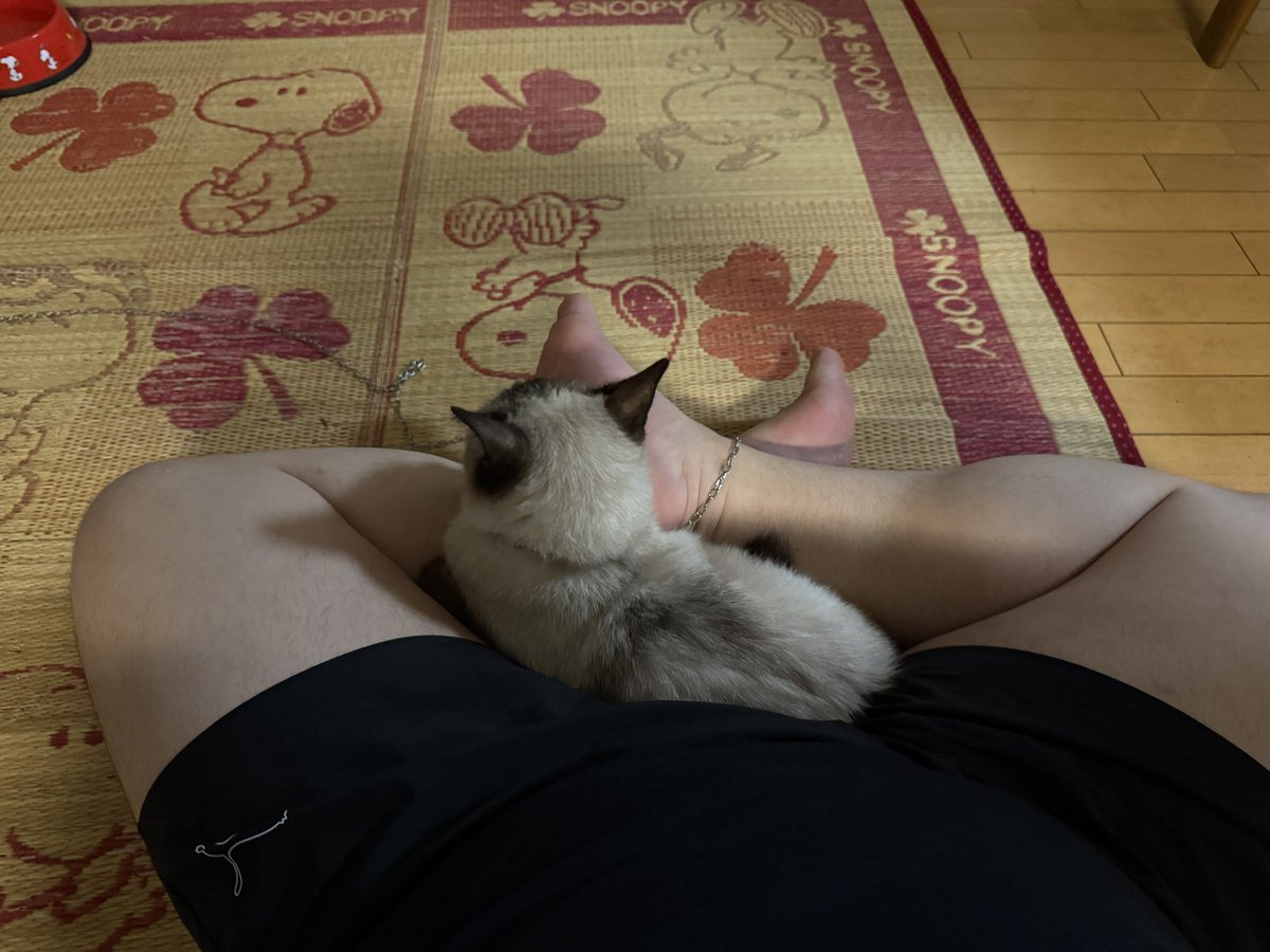 可愛すぎる、、、