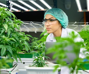 Building a Safe and Clean Cannabis Business medicalmarijuanapages.com/building-a-saf…
