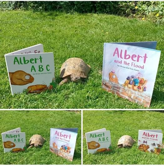 A is for ALBERT, here with our #fun #ALBERTthetortoise #alphabet #BoardBook ALBERT ABC plus ALBERT and his Friends... and #picturebook ALBERT AND THE FLOOD. #AvailableNow 3 #ALBERT Board Books, 9 picturebooks &amp; #ActivityBook Alberttortoise.com
#tortoise #bookseries #story