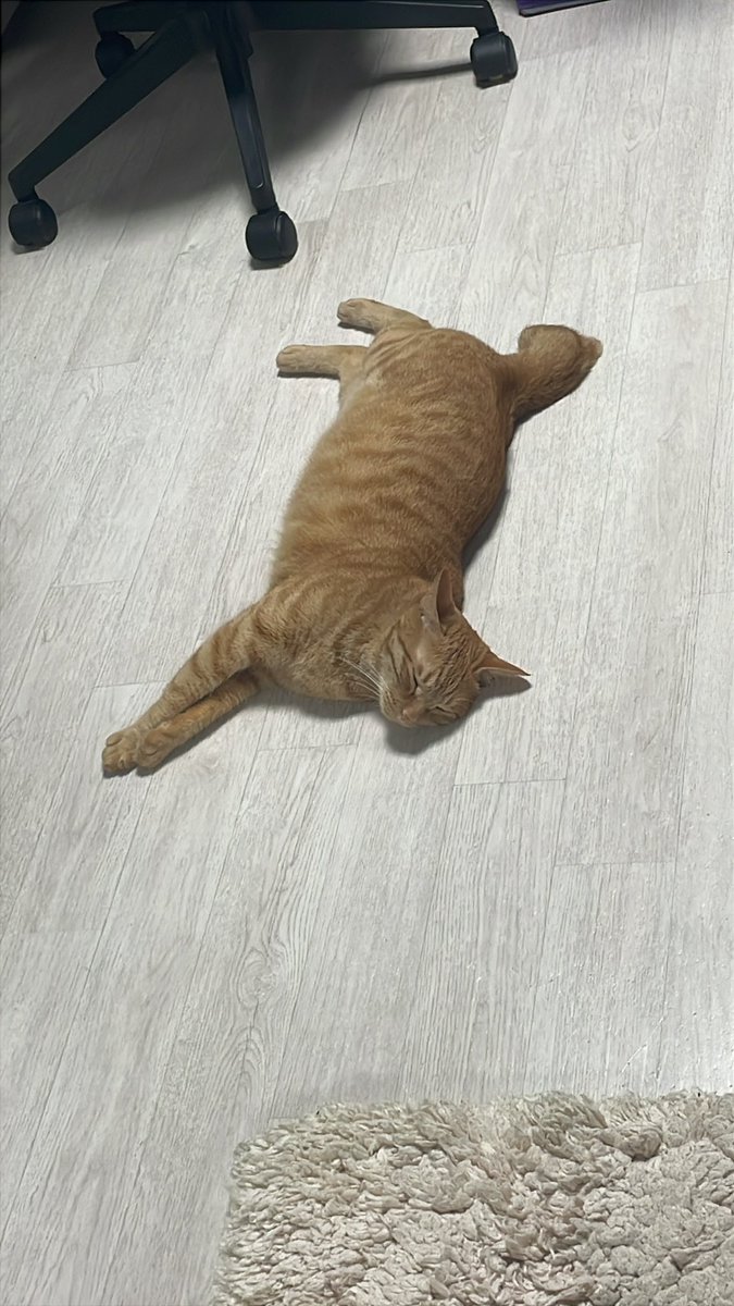 _choi_sunset's tweet photo. 하참내....... https://t.co/4RWkgCsrNF