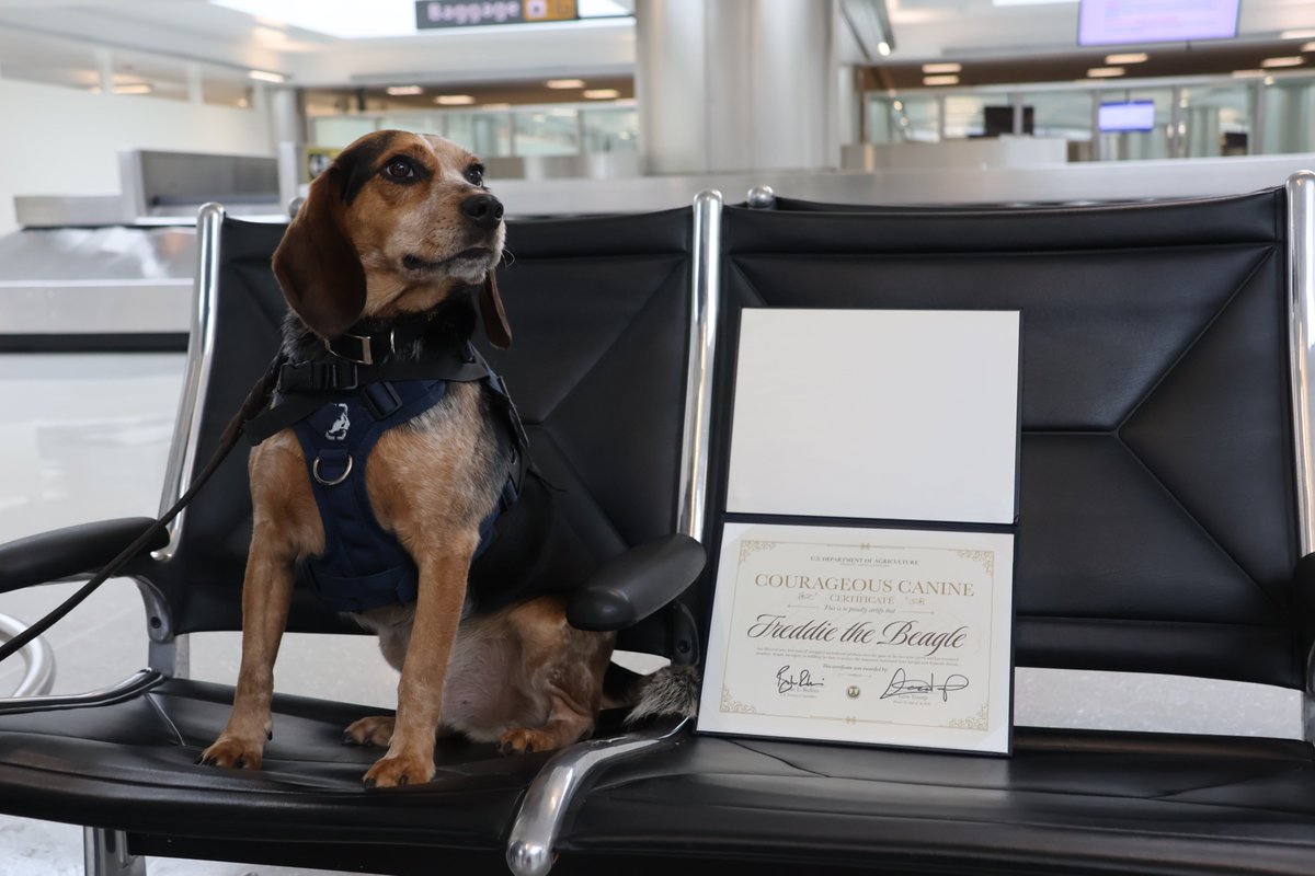 Dept. of Agriculture tweet media