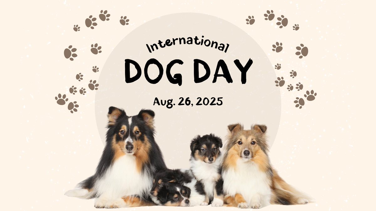 Happy #InternationalDogDay!