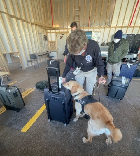 DENAirport's tweet image. Bow WOW! 🐾 DEN K9 Alex took home silver in @TSA's cutest canine contest.

Alex has been with his handler Roxanne since 2018, and has even worked at the Super Bowl! He'll be retiring next year.

Give this certified adorable pup a round of a-paws. 👏 

#DogDay #WorkingDog