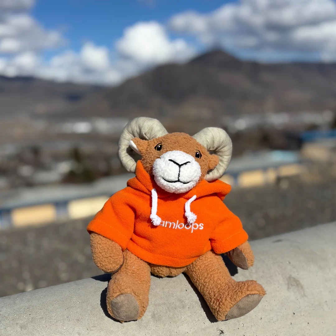 Wholesale swag is back for winter! 🎁 Corporate discounts &amp; unique holiday gifts from Tourism Kamloops.

Shop our current merch: ow.ly/bHyA50WAotj.

Complete the survey 👉 ow.ly/PALR50WAotk

#KamloopsSwag #CorporateGifts #WholesaleMerch