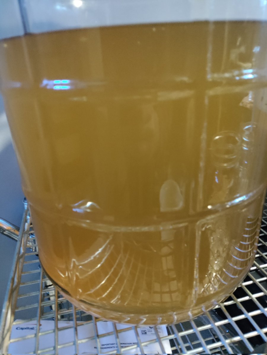 JasonFortezza's tweet image. Just some Banana wine 🍌🍷