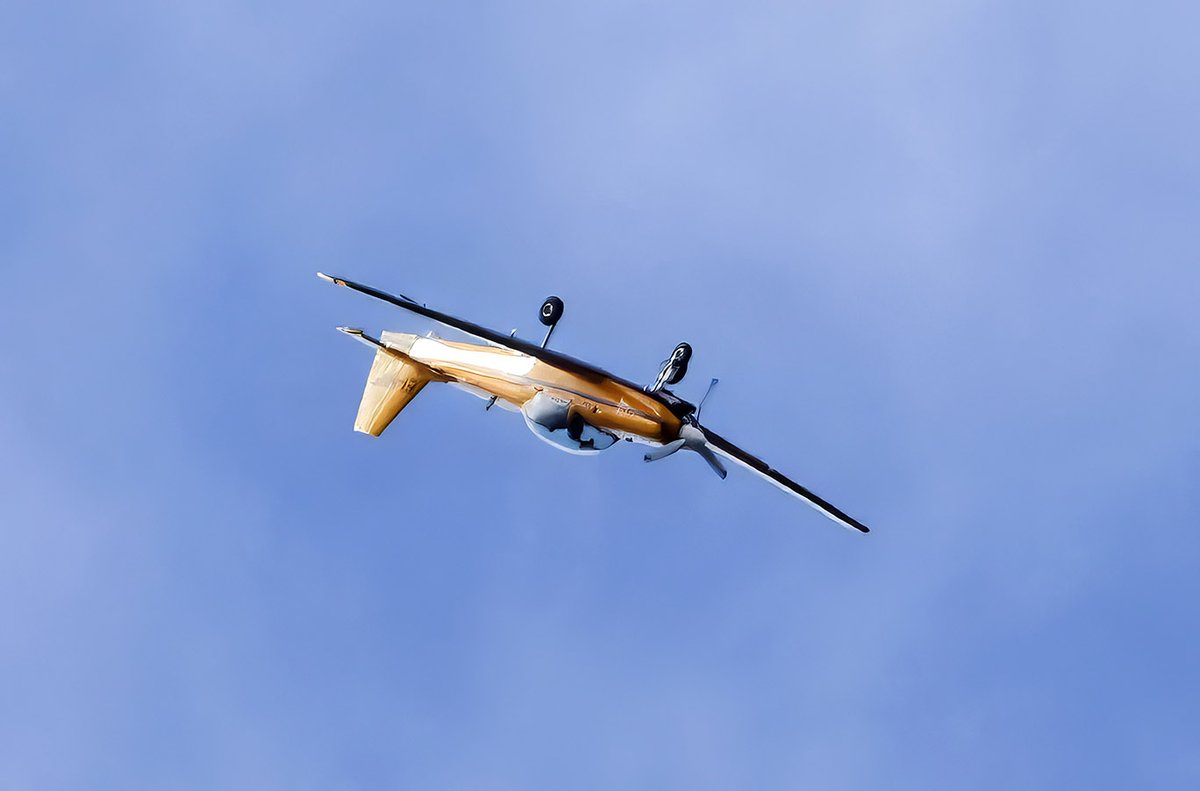 Richard T. Mills tweet media