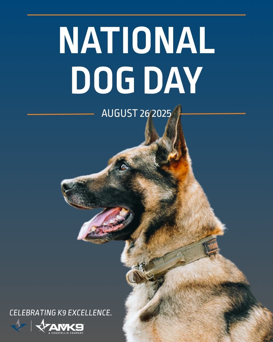 On #NationalDogDay, we honor the incredible working #dogs of #AMK9 — a proud part of the Constellis family. From detection to protection, these elite #K9s embody our mission of precision, trust, and purpose. One Force. One Future. One Pack. #WeAreConstellis #YourMissionStartsHere
