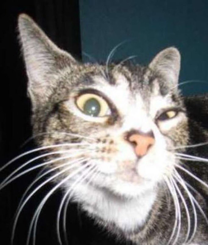 JamesTech4849 tweet media