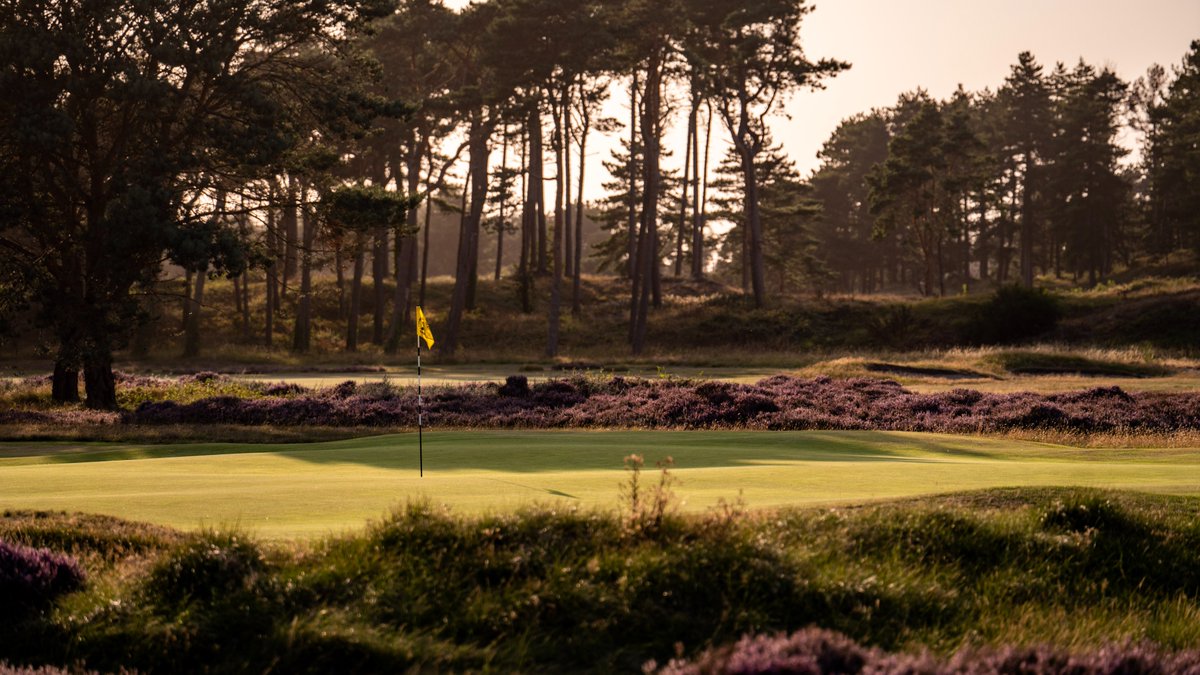 FormbyLadiesGC's tweet image. We’re blessed with beauty all year, but late August might just be the course at its finest — heather in full bloom and the course at it&apos;s best.

Come see it for yourself: bit.ly/4gYXcOa