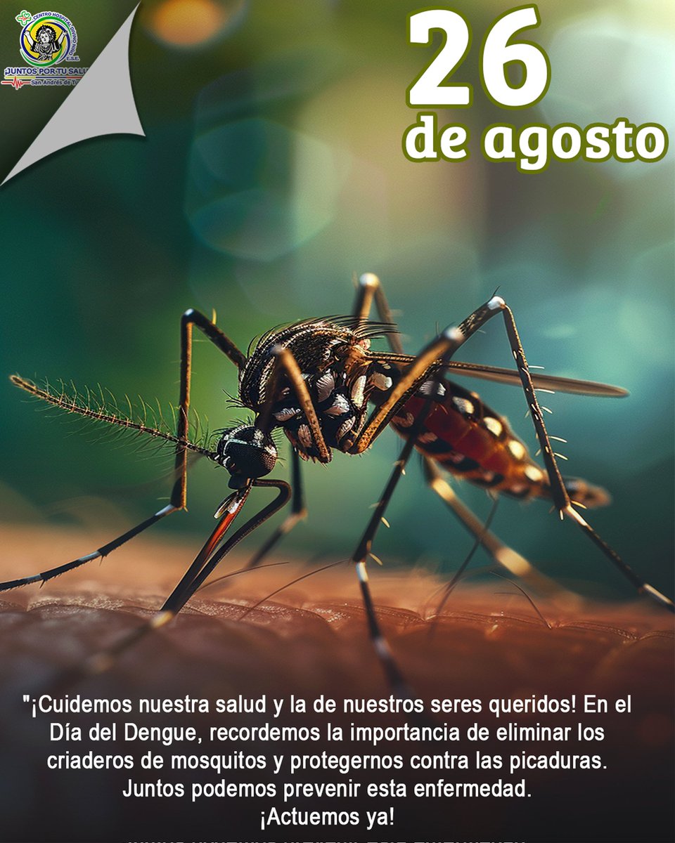 CHDN1's tweet image. #hoy 🦟🚫 En el Día Internacional contra el Dengue, llamamos a la comunidad a prevenir: eliminar criaderos, tapa tanques y desecha objetos con agua. Son acciones simples que salvan vidas. Desde nuestra institución, reafirmamos el compromiso.