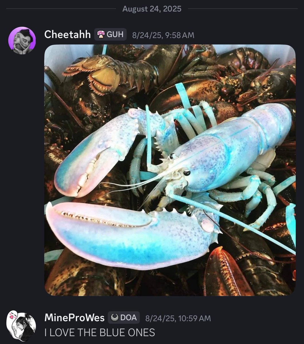 id say this is a bit but i think we both just like lobsters a lot