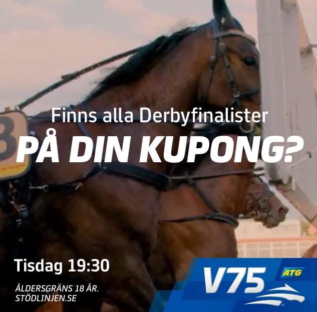 V75 Jägersro med uttagningslopp till Derbyt och Stoderbyt.

Vi har fyra andelsspel igång för 159:-, 50:-, 40:- samt 25:-/andel.

Radskisser synliga!

Vi finns via länken atg.se/hemkopkungsbac…