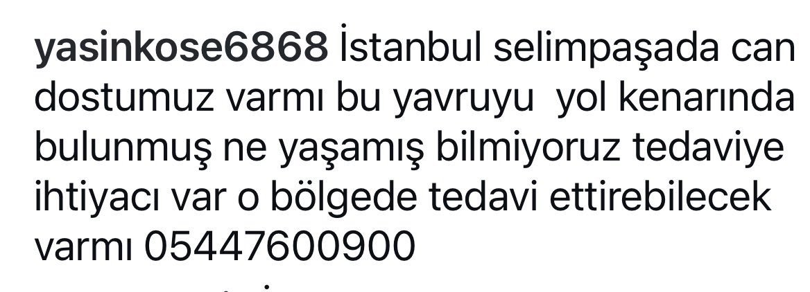 UzayMekanİnsan (@ku_ayd) on Twitter photo 🆘 İstanbul/ Selimpaşada bulunmuş şuan tedaviye ihtiyacı var‼️Orada kim var ‼️ <a href="/SilivriCanlari/">Silivri Canları 2.Hayat Melekleri Derneği</a> yakınmısınız ⁉️ 🆘 İstanbul/ Selimpaşada bulunmuş şuan tedaviye ihtiyacı var‼️Orada kim var ‼️ <a href="/SilivriCanlari/">Silivri Canları 2.Hayat Melekleri Derneği</a> yakınmısınız ⁉️