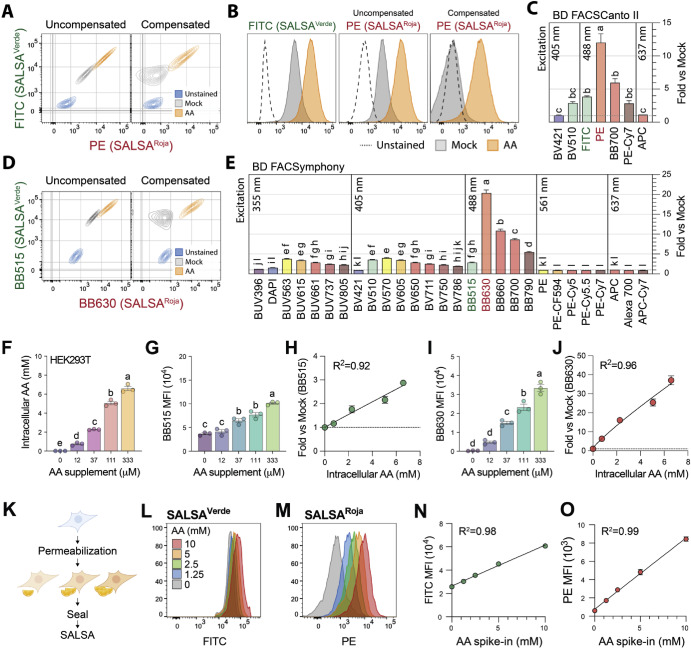 OhioStatePIIO's tweet image. 🧪 New from @jerryliolab &amp;amp; team! They introduce SALSA 🎶 — a flow cytometry assay for single-cell detection of vitamin C 🍊.

🔍 Uncovers immune cell heterogeneity &amp;amp; opens doors for studying #VitaminC in #Immunology, #FlowCytometry &amp;amp; #HumanHealth.

📖 pubmed.ncbi.nlm.nih.gov/40854263/
