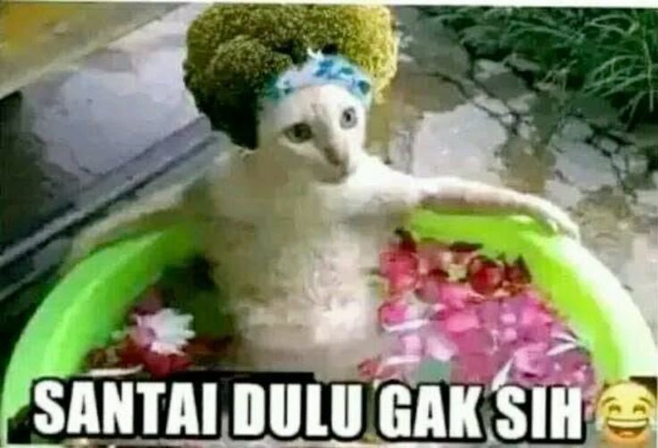 deckerbush's tweet photo. DAY 2 perasaanku lbh senang dr day1(indoor wkwk),paling berkesan diberi motivasi dr narsum yg luar biasa kerennya
5 temen new: rasyah,nizar,wili,kelvin&amp;rayan
#Day2MenjadiVenturions #LifeLongLearner #MengakarKuat #OSKMITB2025 #KATITB2025 https://t.co/dOXleQhTNt