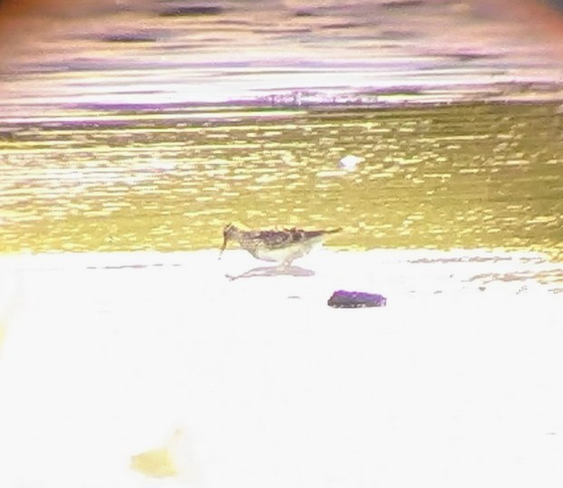 Paul Brook tweet media