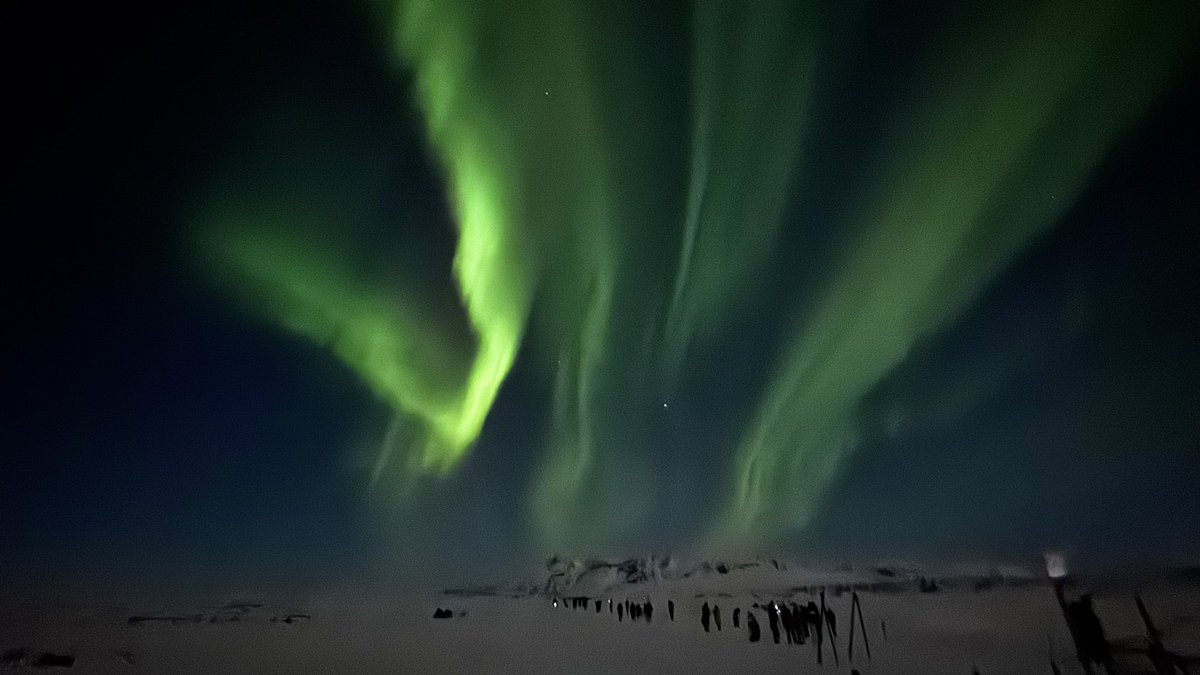 鼠鼠鼠了 tweet media