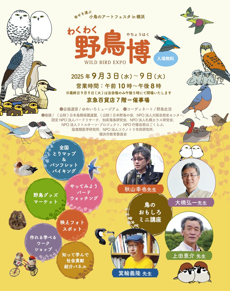 Yachoo_Seikatsu's tweet photo. 開催まで一週間🎉
野鳥の魅力がもっと広まってほしい思いで始めた野鳥博。
楽しく華やかでありながらも鳥類学の背骨にしっかり支えられている……そんな催事に育ってきました。
４回目となる今回も密度の濃い一週間となりそうです‼️
９/3〜9、京急百貨店（横浜上大岡）にて
#わくわく野鳥博 https://t.co/nzzYXKB3qu